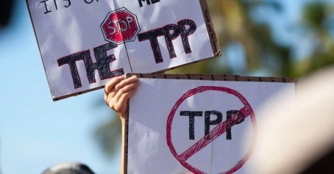 L’administration Obama renonce au TPP - ảnh 1