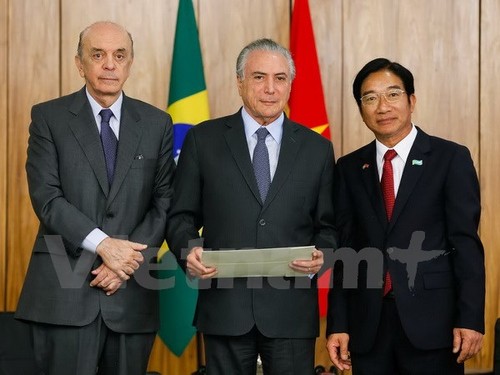 Le Brésil souhaite renforcer la coopération avec le Vietnam - ảnh 1