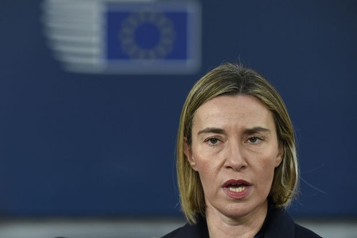 Mogherini: l'Europe a "besoin de l'immigration" - ảnh 1
