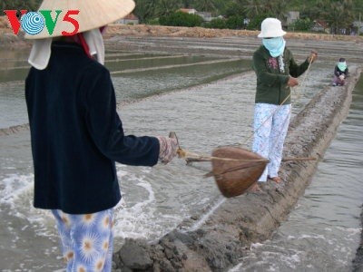 Sa Huynh, un village qui ne manque pas de sel…   - ảnh 1