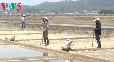 Sa Huynh, un village qui ne manque pas de sel…   - ảnh 2