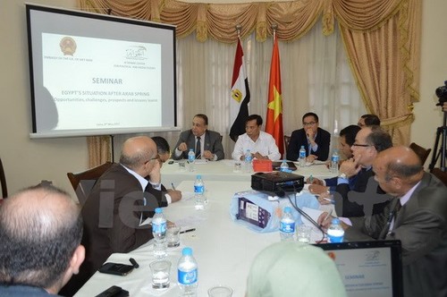 Colloque sur les opportunités, défis et perspectives de coopération Vietnam-Egypte - ảnh 1