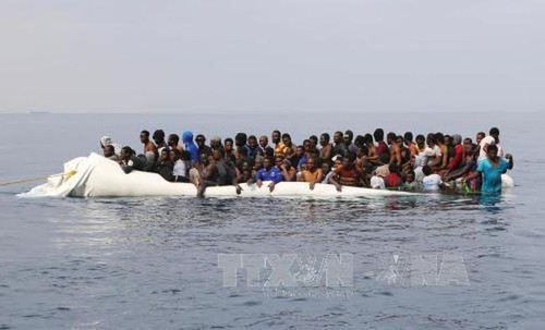Plus de 2300 migrants secourus en Méditerranée au large de la Libye - ảnh 1