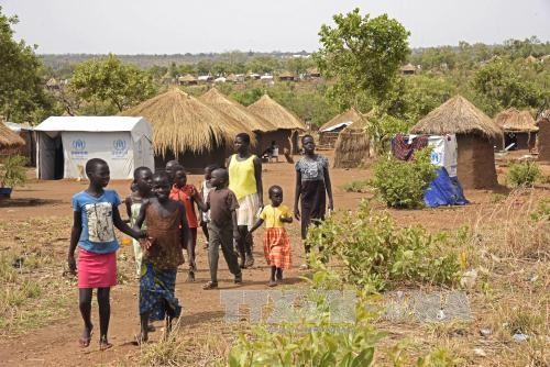 L'UE verse 12,9 millions de dollars d'aides au Soudan du Sud - ảnh 1