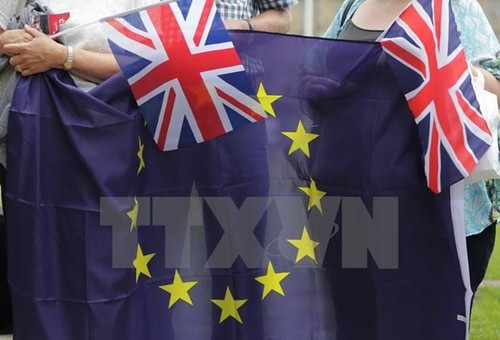 La Commission européenne accueillerait «à bras ouverts» un retour de la Grande-Bretagne - ảnh 1