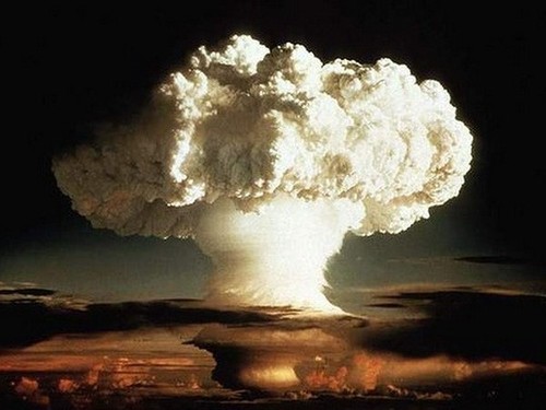 Le traité sur la non-prolifération des armes nucléaires salué par la communauté internationale - ảnh 1