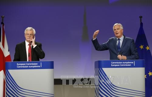 Brexit : l’Union européenne propose une période de transition de 20 mois au maximum - ảnh 1