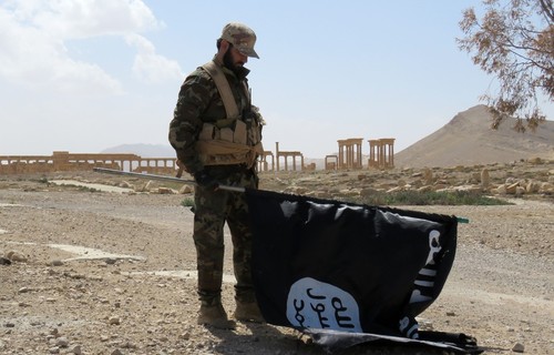 L'Afrique du Nord s’inquiète du retour des combattants de Daesh - ảnh 1