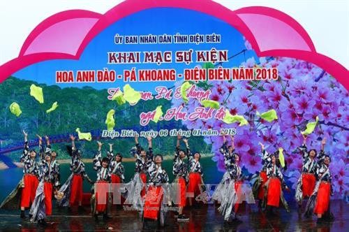 Fleurs de cerisier-Pa Khoang-Dien Bien, coup d’envoi des activités célébrant l’amitié Vietnam-Japon - ảnh 1