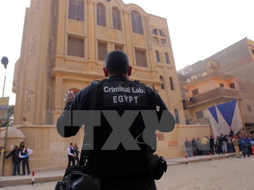 Les coptes d'Égypte célèbrent Noël après une année de violences jihadistes - ảnh 1