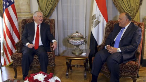Au Caire, Tillerson entame une tournée délicate au Moyen-Orient - ảnh 1
