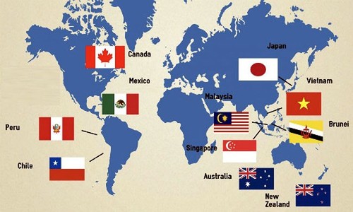 11 pays s’apprêtent à signer le PTPGP - ảnh 1