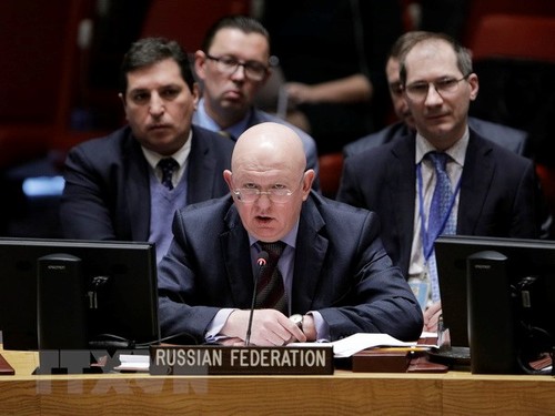Affaire Skripal: Russes et Britanniques dos à dos à l'ONU - ảnh 1