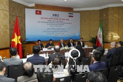 Forum d’entreprises Vietnam – Iran - ảnh 1