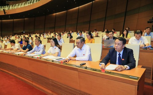 Les députés adoptent le projet du contrôle parlementaire de 2019 - ảnh 1