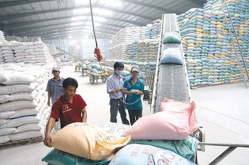 Riz : les exportations vietnamiennes vers la Malaisie ont connu une forte hausse - ảnh 1