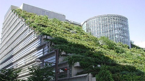 Développer les bâtiments verts - ảnh 1