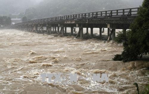 Japon: des pluies diluviennes font au moins 48 morts  - ảnh 1