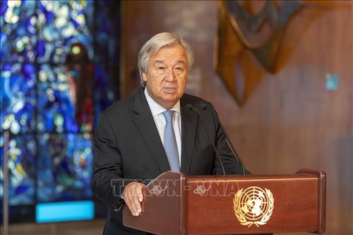 Le chef de l'ONU réclame l'arrêt immédiat des hostilités en Libye - ảnh 1
