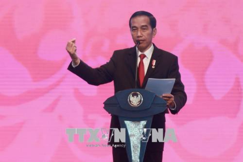 Le président indonésien Joko Widodo effectuera une visite d’État au Vietnam - ảnh 1