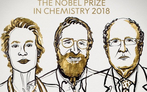 Le prix Nobel de chimie attribué à deux Américains et un Britannique - ảnh 1