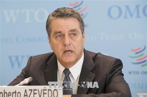 L’OMC doit traiter un nombre record de différends commerciaux - ảnh 1