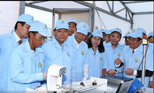 Le Premier ministre visite un élevage de pangas de haute technologie - ảnh 1