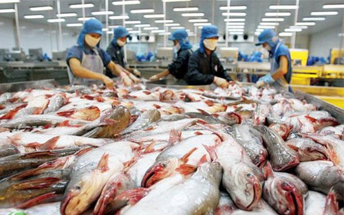 2,3 milliards de dollars d’exportation de poissons tra  - ảnh 1