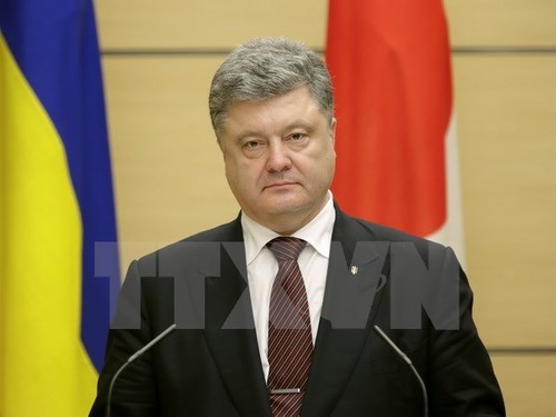 L’Ukraine cible le groupe russe En + avec de nouvelles sanctions - ảnh 1