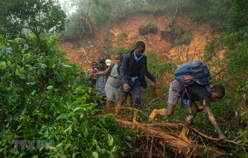 Cyclone Idai: le bilan s'alourdit à 417 morts au Mozambique - ảnh 1