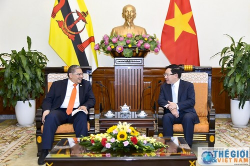 Un ministre des Affaires étrangères du Brunei en visite au Vietnam  - ảnh 1