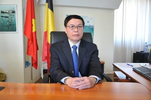 L’Assemblée nationale du Vietnam et le Parlement européen cruciaux pour les liens Vietnam-UE - ảnh 1
