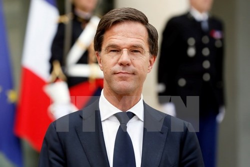 Le Premier ministre néerlandais attendu au Vietnam - ảnh 1