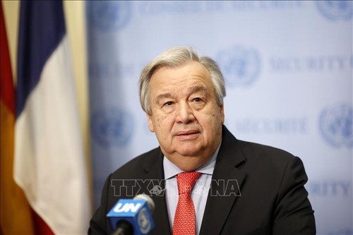 Gaza: le chef de l'ONU appelle à une «désescalade immédiate» - ảnh 1