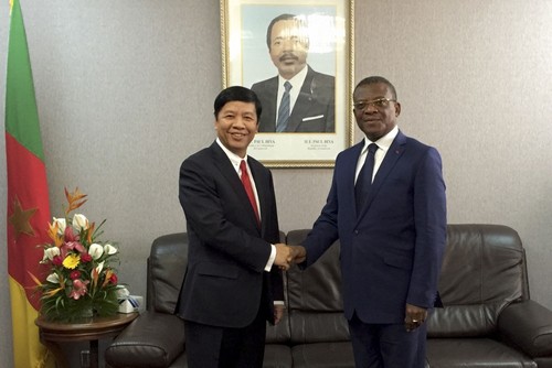 L’envoyé spécial du Premier ministre Nguyên Xuân Phuc travaille au Cameroun - ảnh 1