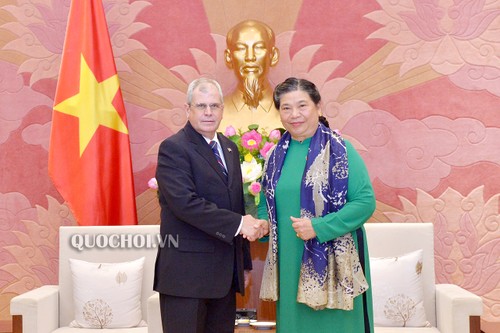 Tong Thi Phong reçoit la délégation parlementaire cubaine - ảnh 1