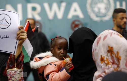 ONU: 110 millions de dollars pour l'agence s'occupant des réfugiés palestiniens - ảnh 1