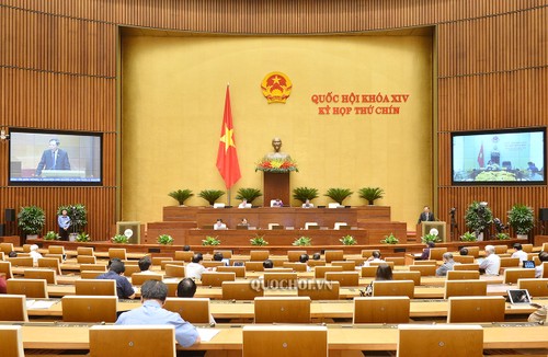 Neuvième session: L’Assemblée nationale termine la dernière journée de travail en ligne - ảnh 1