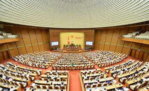 L'Assemblée nationale vote la résolution sur le programme de contrôle parlementaire de 2023 - ảnh 1