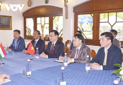 En visite officielle en Hongrie, Vuong Dinh Huê reçu par Istvan Jakab - ảnh 1