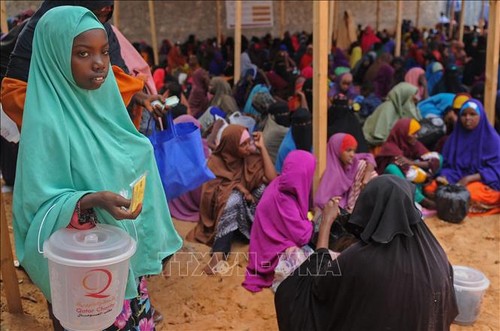 L'ONU accorde 9,5 millions de dollars pour la prévention de la famine en Somalie - ảnh 1