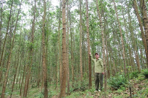 Quang Binh s’emploie à développer ses zones montagneuses - ảnh 2