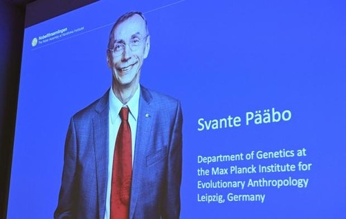 Le prix Nobel de médecine est attribué au paléogénéticien suédois Svante Pääbo - ảnh 1