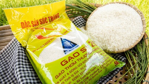 Le riz vietnamien à la conquête du marché international - ảnh 1