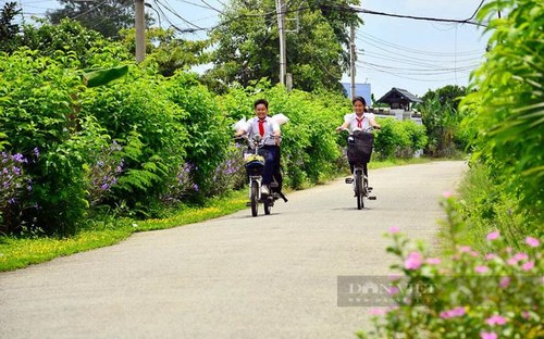 Le village intelligent de Binh Duong - ảnh 1