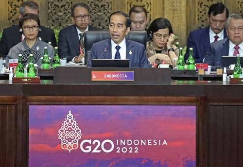 Les États du G20 prennent plusieurs engagements à Bali, selon Joko Widodo  - ảnh 1