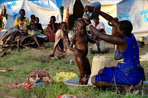 Soudan du Sud: des milliers de personnes déplacées par l’escalade du conflit dans le Haut-Nil - ảnh 1