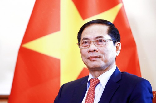 Bùi Thanh Son: défendre et valoriser les intérêts nationaux - ảnh 1
