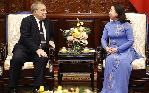 Vo Thi Anh Xuân reçoit l’ambassadeur brésilien sortant - ảnh 1