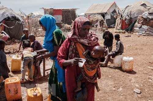 ONU: 8,3 millions de personnes ont besoin d'une aide humanitaire en Somalie - ảnh 1